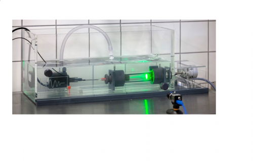 斑馬魚游泳測試系統