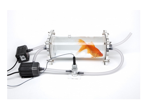 魚類及水生無脊椎動物呼吸代謝測量系統