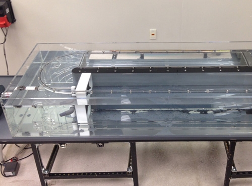 魚類與水生生物游泳能力、呼吸代謝測量儀