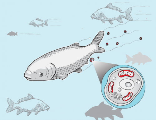 便攜式環境eDNA采集系統