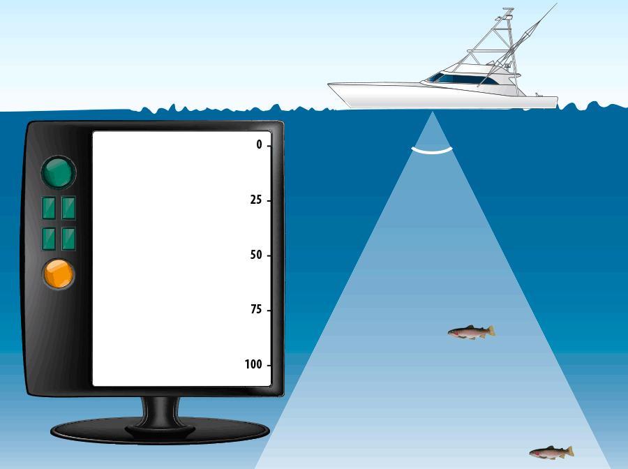 1631844925225391.jpg 1631844925225391.jpg