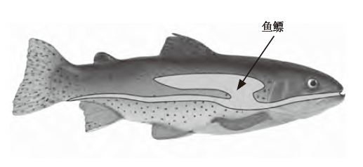 1631845038824772.png 1525532223264492.png