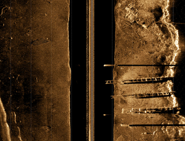 1632361962343535.png mES3e8_STARFISH-7.png