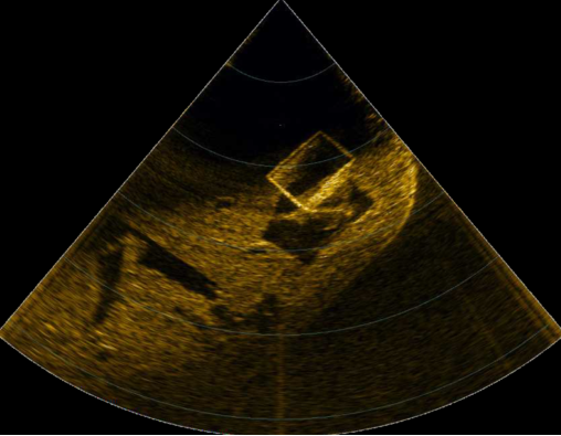 1763707554375650.png 圖片.png